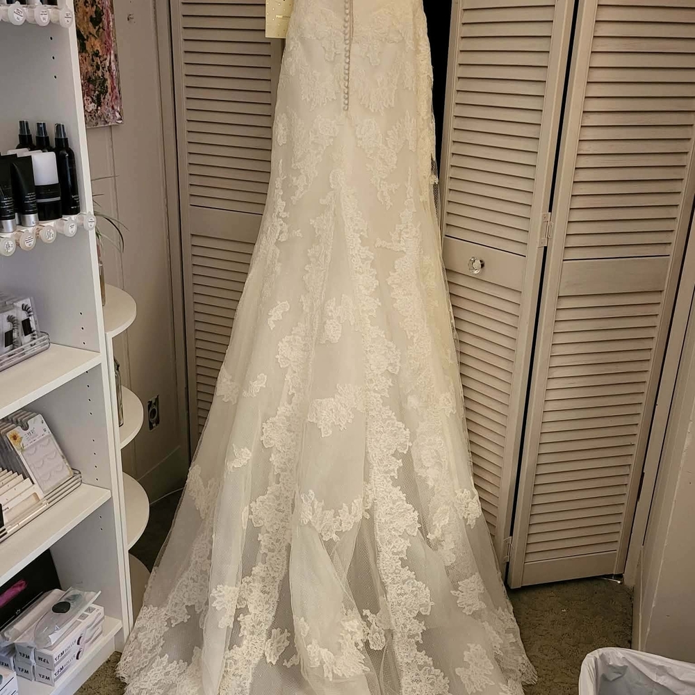 Elegant Lace Wedding Gown - Picture 4 of 9